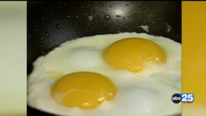 Eggflation Continues