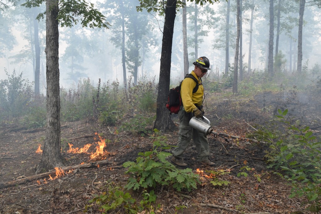 Andrew Pickens Ranger District Rx Fire