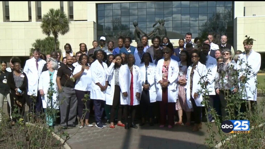 Prisma Health Doctors Gather For "black Men And Women In White Coats" Event