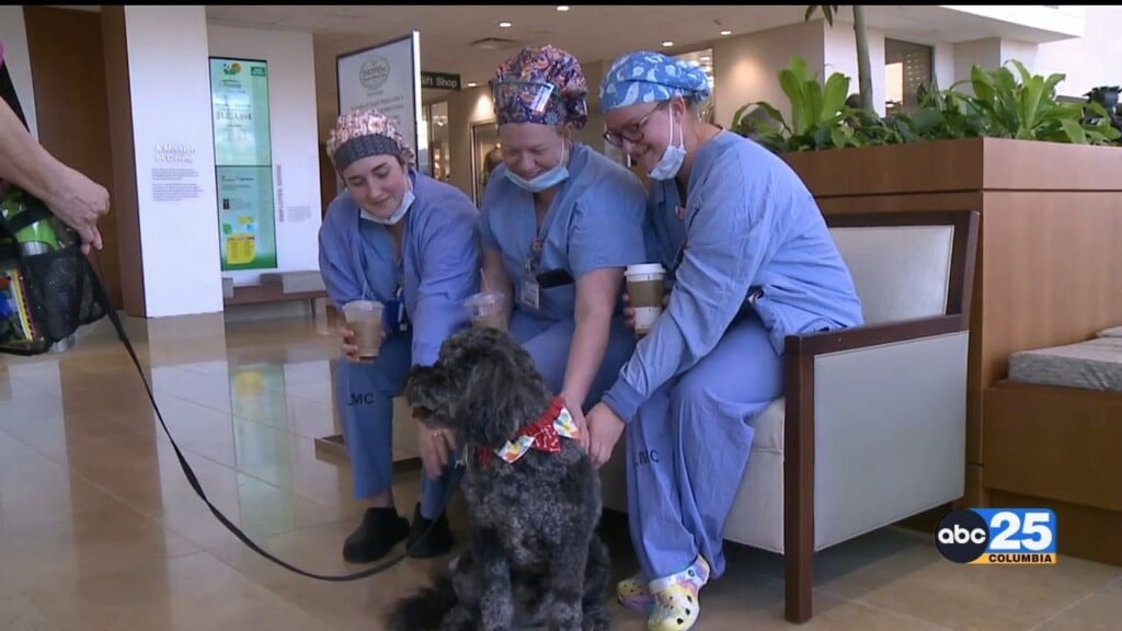 Lexington Medical Center Holds "therapy Dog Stress Break"