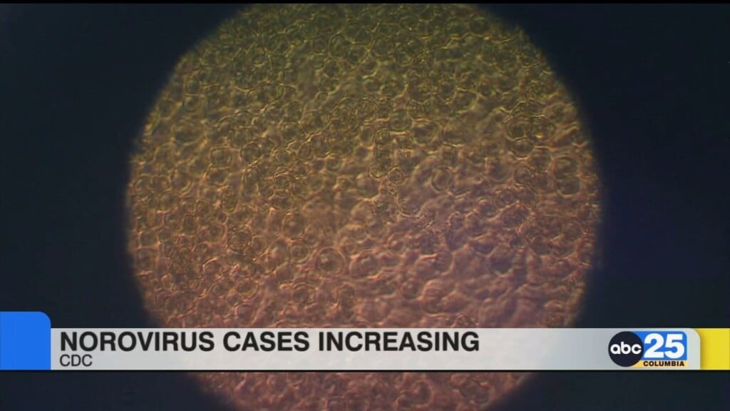 Cdc: Norovirus Cases Increasing