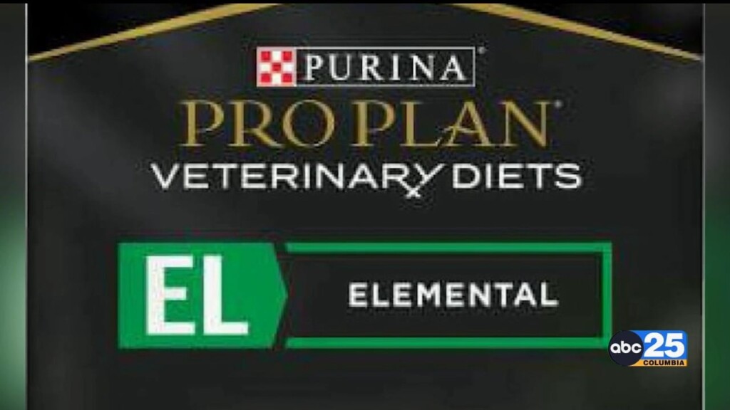 Purina Recalls Prescription Dog Food Due To Elevated Vitamin D Levels
