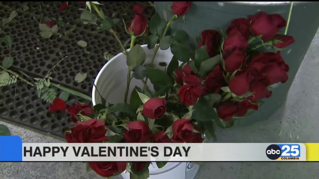 Happy Valentines Day