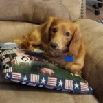 Waylon