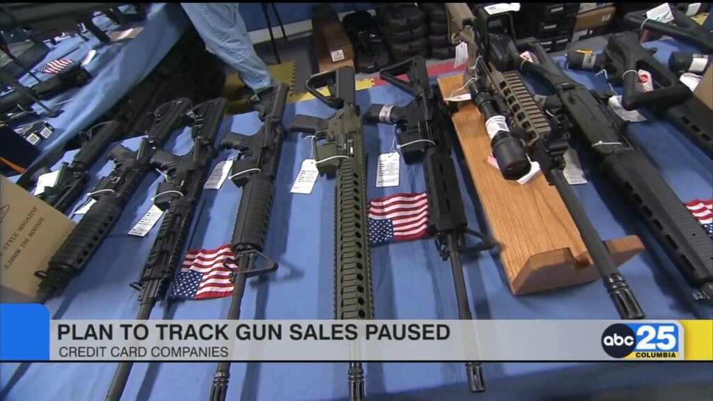 Plan To Track Gun Sales Paused