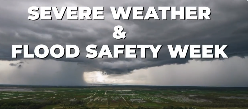 Screen Shot 2023 03 06 At 110305 Am