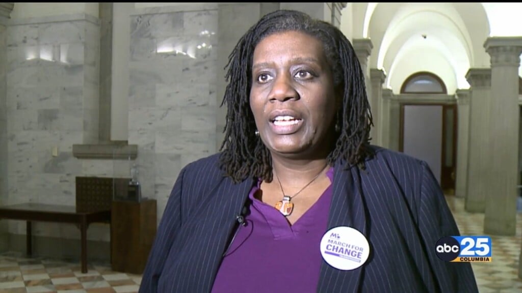 March Of Dimes Members Meet With Sc Lawmakers On Better Maternal Care