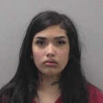 Sweatt Autumn Rose