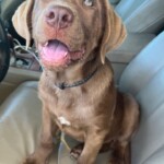 Charlie