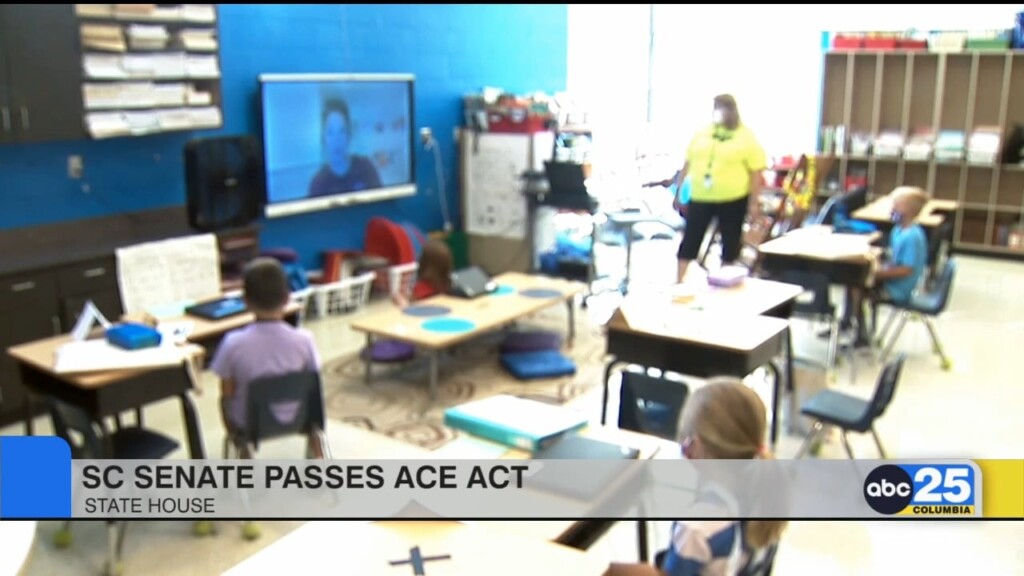 Sc Senate Passes Ace Act