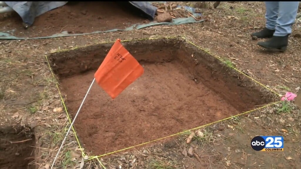Archaeology Pkg