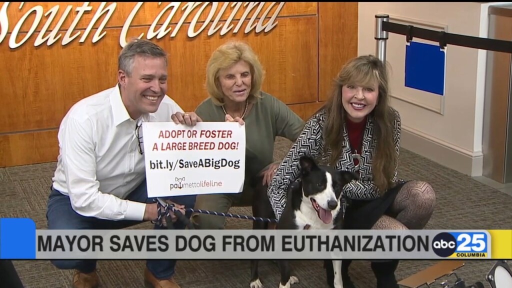 Columbia Mayor Saves Dog From Euthnization