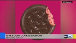Girl Scout Cookies Sold Out, Being Resold On Ebay