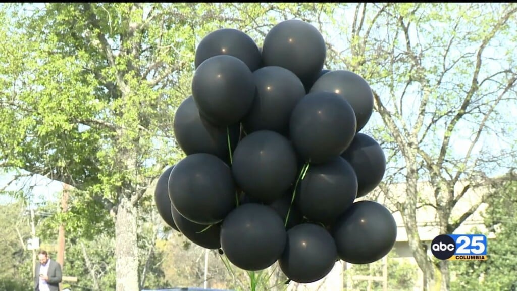 Black Balloon Day Honors Lives Lost To Drug Overdoses In Lexington And Richland Counties