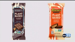 Hershey Unveils Two New Vegan Options