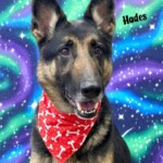 Hades