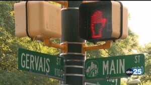 Cola Traffic Study