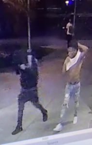 Sled Video