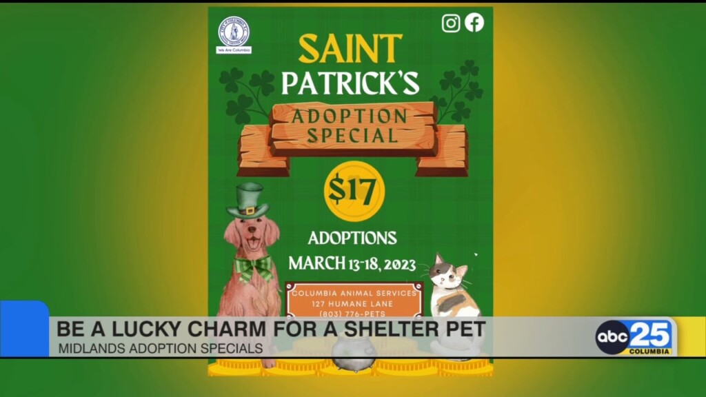Be A Lucky Charm For A Shelter Pet