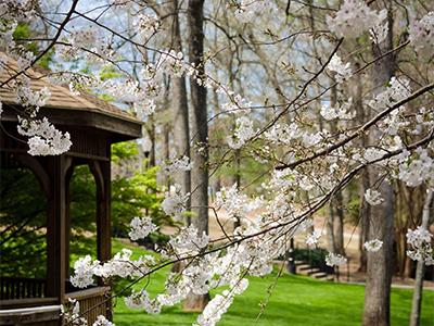 White Branch Gazebo