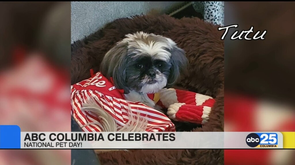 Abc Columbia Celebrates National Pet Day!