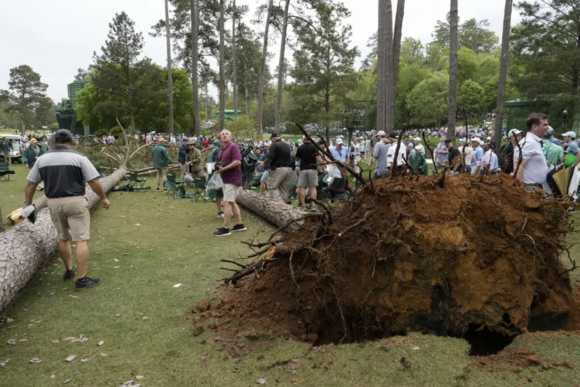 Storms bring down trees at Masters, play halted in 2nd round ABC Columbia