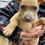 Winona