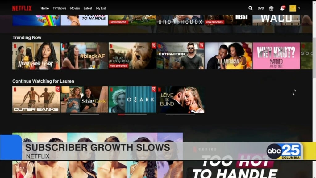 Netflix Subscriber Growth Slows