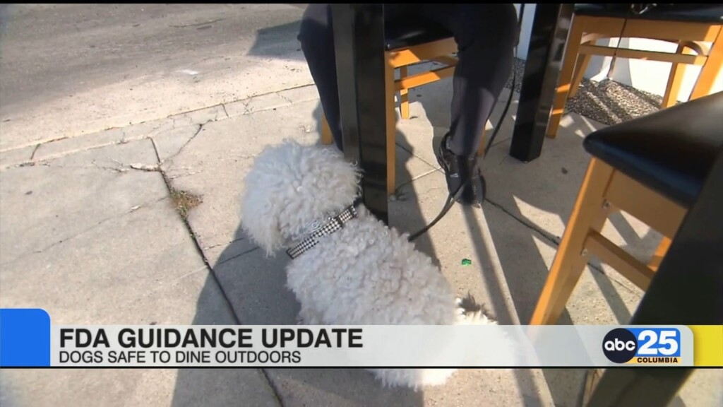Fda Guidance Update: Dogs Safe To Dine Outdoors