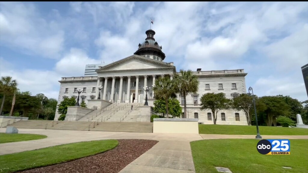 Sc House Unanimously Votes To Approve Six Weeks Paid Parental Leave, Teachers And Lawmakers React