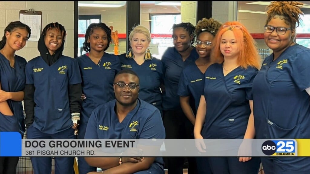Dog Grooming Event