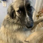 Ben