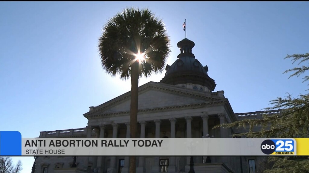 Anti Abortion Rally
