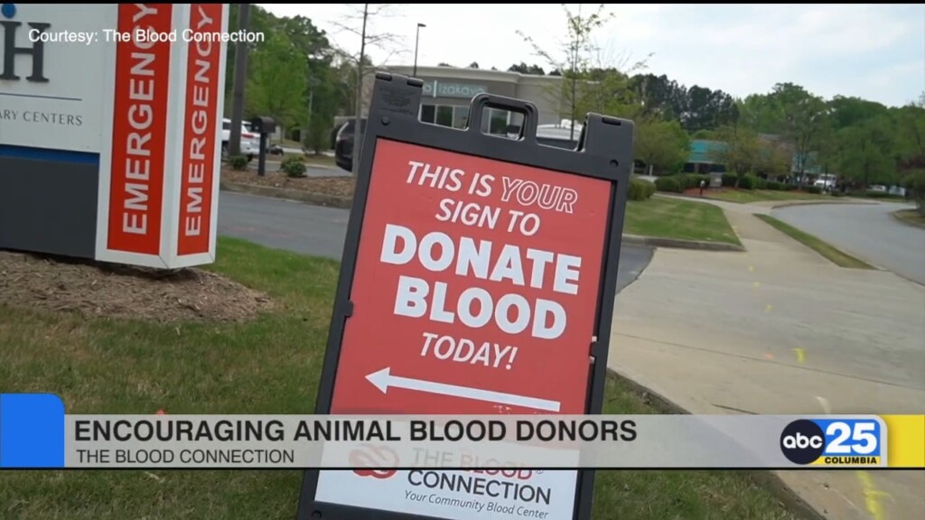 Blood Connection