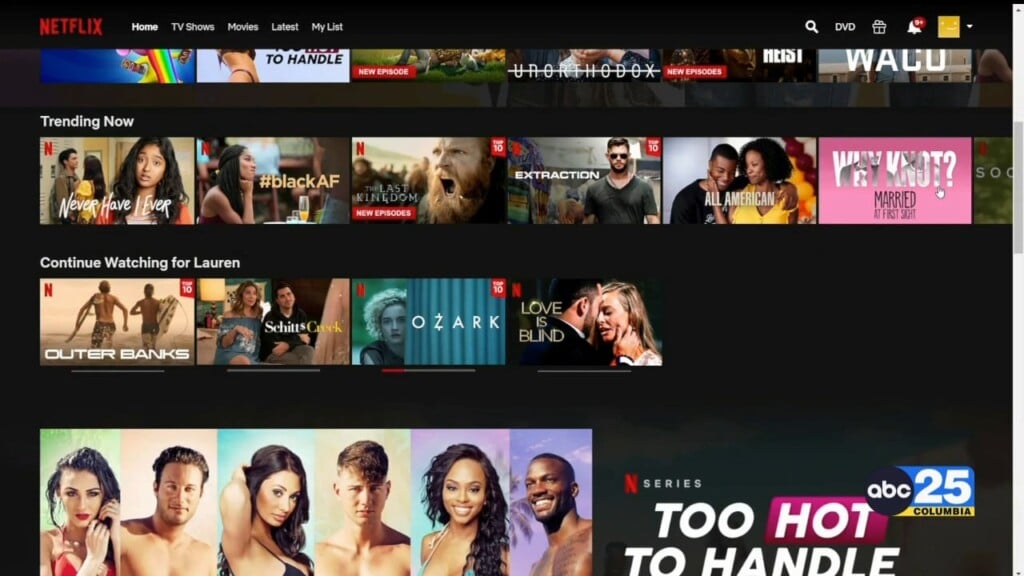Netflix Ends Password Sharing