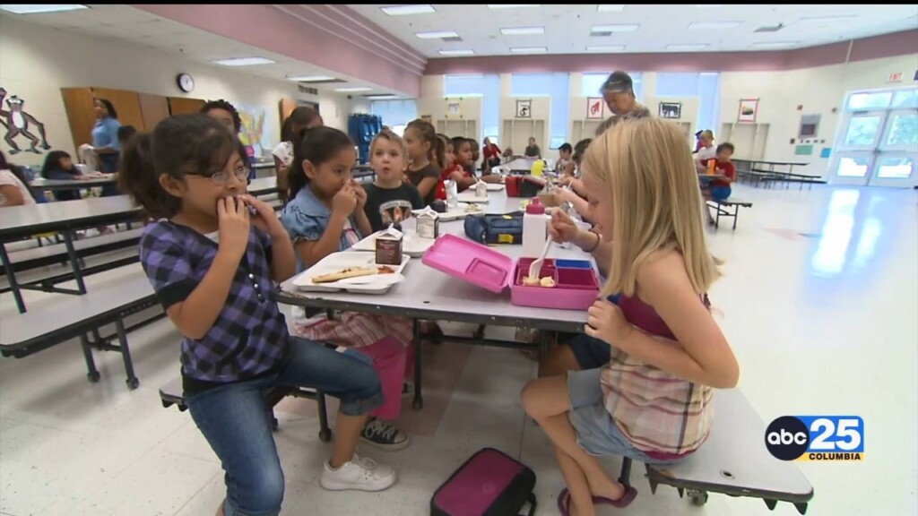 School Lunch Pkg