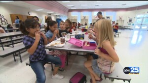 School Lunch Pkg