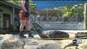 Students Use 3 D Printing To Create Sea Lion Feeding Buckets For Riverbanks Zoo