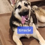 Gracie