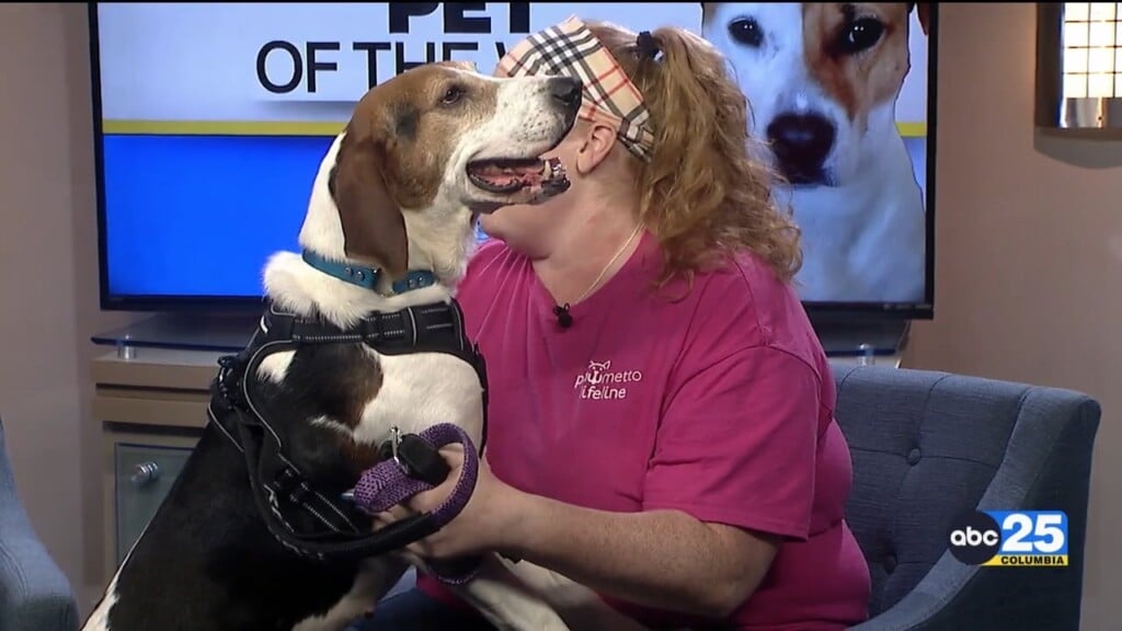 Pet Of The Week