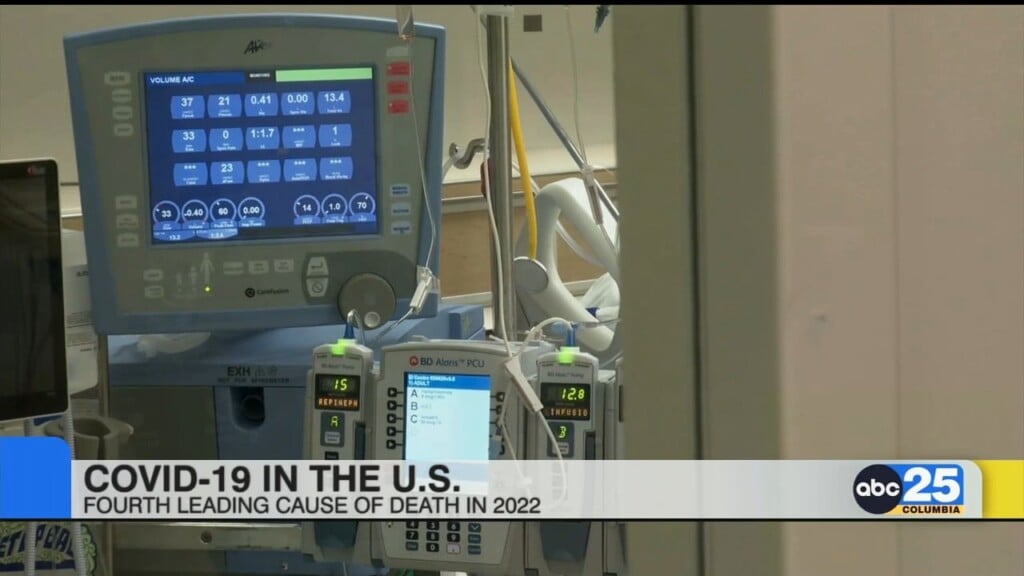 Covid 19 In The U.s.: Fourth Leading Cause Of Death In 2022