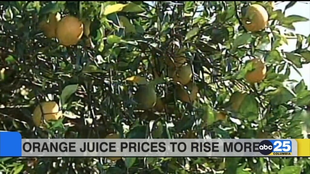 Smallest Florida Citrus Crop In Nearly 100 Years