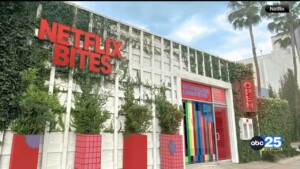 Netflix Bites