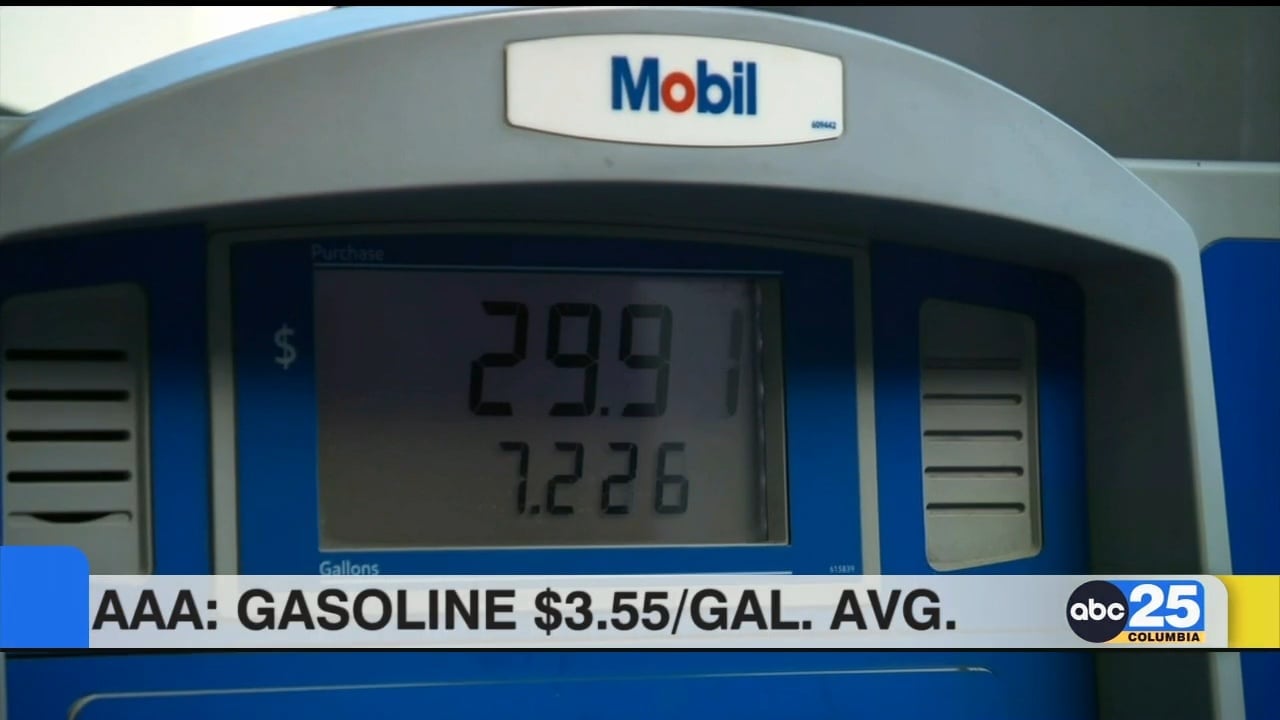 AAA: Public to pay less for gas this holiday weekend - ABC Columbia