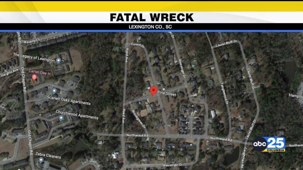 Fatal Wreck