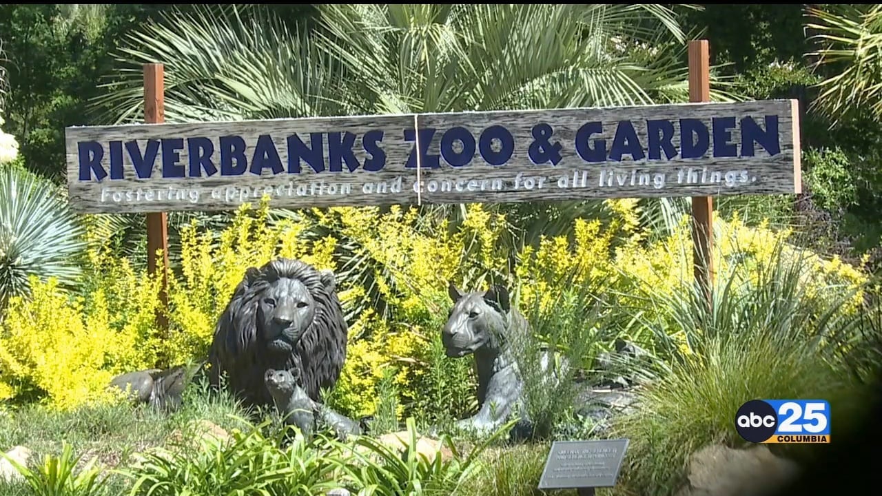 Free Fridays returns at Riverbanks Zoo and Garden ABC Columbia