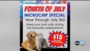 Fourth Of July Microchip Special