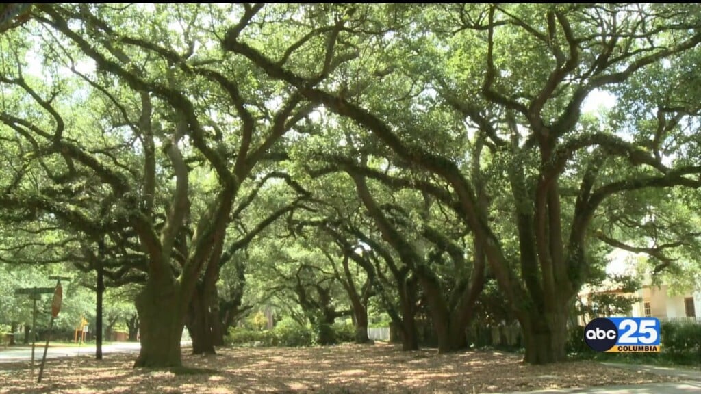On The Road Aiken Pkg