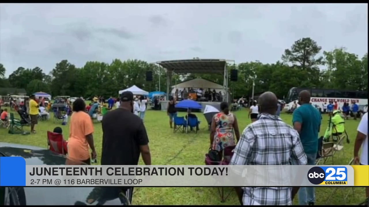 Town of Hopkins' 5th annual Juneteenth Celebration begins today - ABC ...