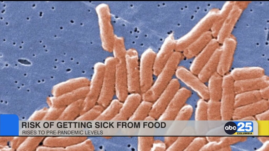 Risk Of Getting Sick From Food Rises To Pre Pandemic Levels